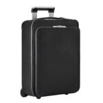 LOUIS VUITTON PEGASE