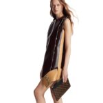 LOUIS VUITTON DAILY POUCH