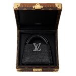 LOUIS VUITTON CAPUCINES NANO