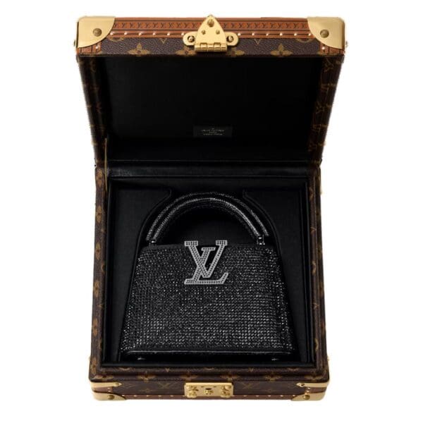 LOUIS VUITTON CAPUCINES NANO