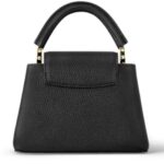 LOUIS VUITTON CAPUCIINES MINI