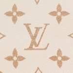 LOUIS VUITTON WALLET ON CHAIN LVY