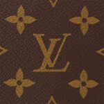 LOUIS VUITTON LOOP HOBO