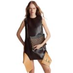 LOUIS VUITTON DAILY POUCH