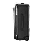 LOUIS VUITTON PEGASE