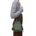 LOEWE COMPACT HAMMOCK BAG IN CLASSIC CLAFSKIN