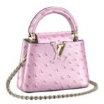 LOUIS VUITTON CAPUCINES NANO