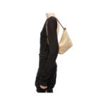 LOEWE MINI HOBO HAMMOCK BAG IN RAFFIA AND CALFSKIN