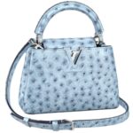 LOUIS VUITTON CAPUCINES MINI