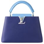 LOUIS VUITTON CAPUCINES MM