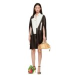 LOEWE SMALL PASEO BAG IN SHINY CALFSKIN