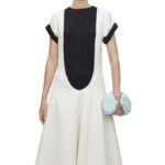 LOEWE BRACELET POUCH IN PLEATED NAPPA