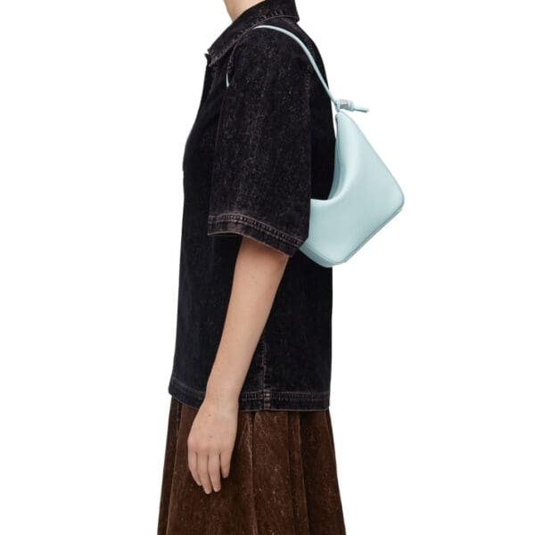 LOEWE HAMMOCK HOBO MINI BAG IN CLASSIC CALFSKIN