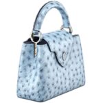 LOUIS VUITTON CAPUCINES MINI