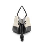 LOEWE SMALL PASEO BAG IN SHINY CALFSKIN
