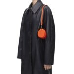 LOEWE BRACELET POUCH IN PLEATED NAPPA