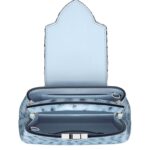 LOUIS VUITTON CAPUCINES MINI