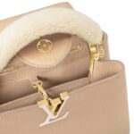 LOUIS VUITTON CAPUCINES BB