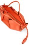 LOEWE SMALL PASEO BAG IN SHINY CALFSKIN