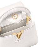 LOUIS VUITTON CAPUCINES MINI