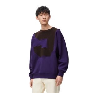 LOEWE SWEATSHIRT IN COTTON