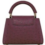 LOUIS VUITTON CAPUCINES MINI