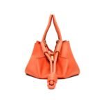 LOEWE SMALL PASEO BAG IN SHINY CALFSKIN