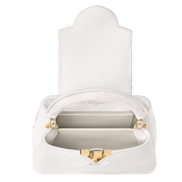 LOUIS VUITTON CAPUCINES MINI