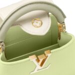 LOUIS VUITTON CAPUCINES MINI
