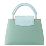 LOUIS VUITTON CAPUCINES MINI