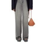 LOEWE HAMMOCK HOBO MINI BAG IN CLASSIC CALFSKIN