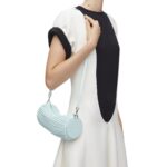 LOEWE BRACELET POUCH IN PLEATED NAPPA