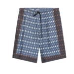 DRIES VAN NOTEN PRINTED SHORTS