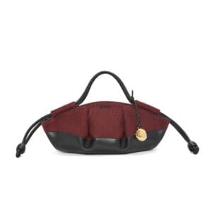 LOEWE SMALL PASEO BAG IN SHINY CALFSKIN