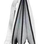 ACNE STUDIOS PLATT MINI SHOULDER BAG