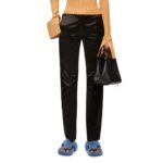 LOEWE HAMMOCK COMPACT BAG IN SATIN CALFSKIN