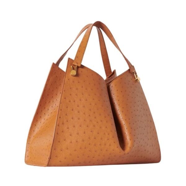 THE ROW ALEXIA BAG IN OSTRICH
