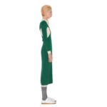 DODO BAR OR IAN DRESS