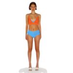 DODO BAR OR CARMEN BOXER