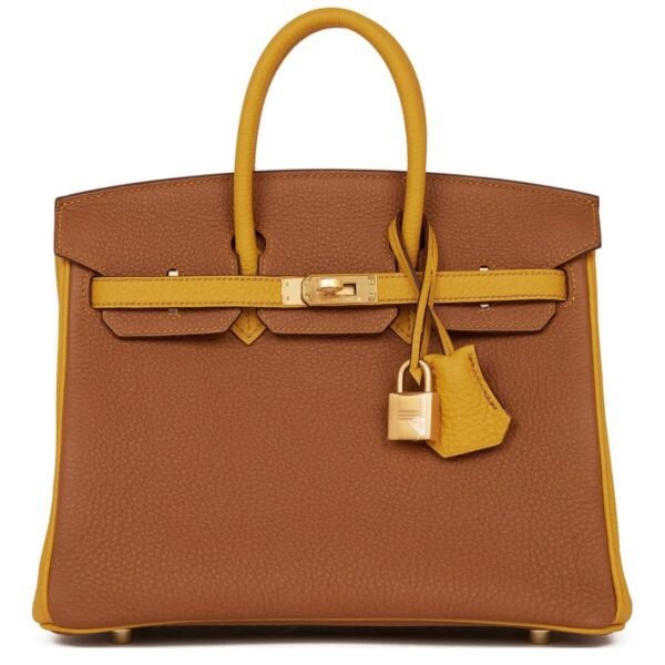 HERMÈS SPECIAL ORDER HSS BIRKIN 25 GOLD AND JAUNE AMBRE TOGO BRUSHED GOLD HARDWARE