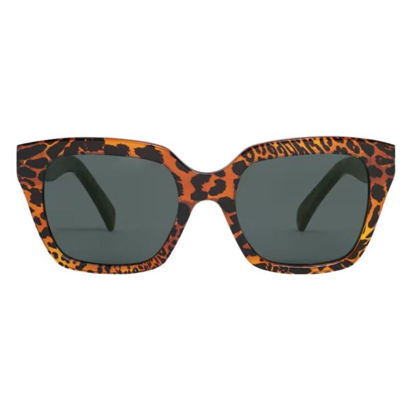 CELINE MONOCHROMS 03 SUNGLASSES IN ACETATE