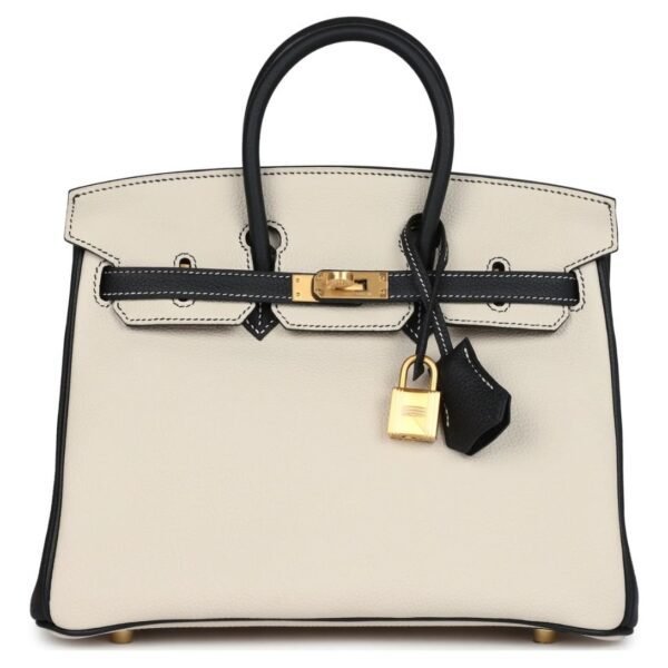 HERMÈS SPECIAL ORDER (HSS) BIRKIN 25 CRAIE AND BLACK TOGO BRUSHED GOLD HARDWARE