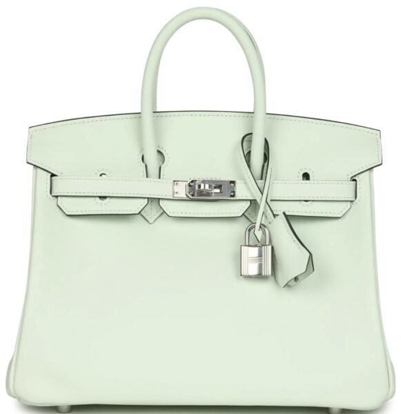 HERMÈS BIRKIN 25 VERT FIZZ SWIFT PALLADIUM HARDWARE