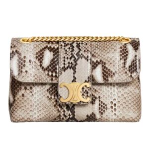 CELINE TEEN VICTOIRE BAG IN PYTHON