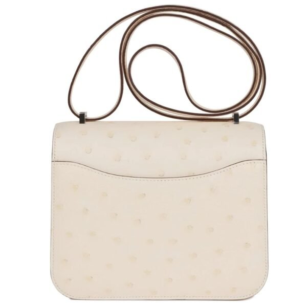HERMÈS CONSTANCE 18 NATA OSTRICH PALLADIUM HARDWARE - Image 2