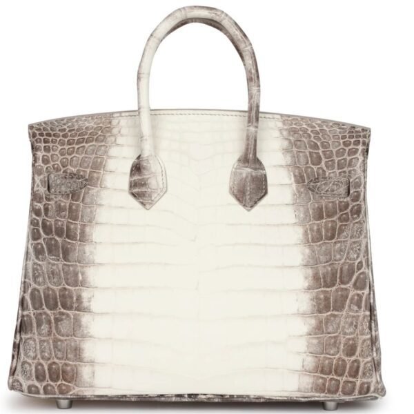 HERMÈS BIRKIN 25 HIMALAYA NILOTICUS CROCODILE PALLADIUM HARDWARE - Image 2