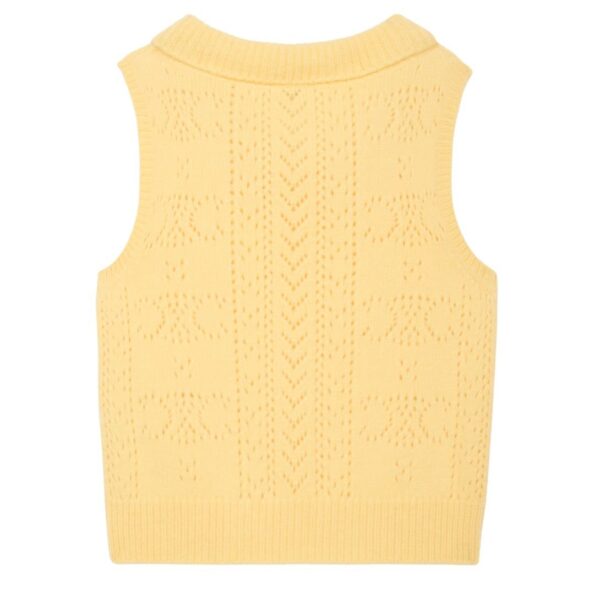 CELINE COWL NECK SWEATER IN POINTELLE CASHMERE