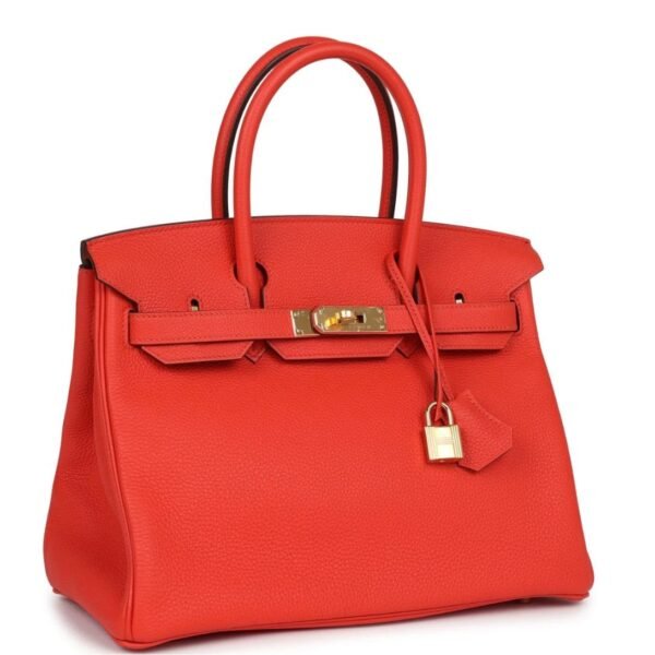 HERMÈS BIRKIN 30 CAPUCINE TOGO GOLD HARDWARE - Image 3