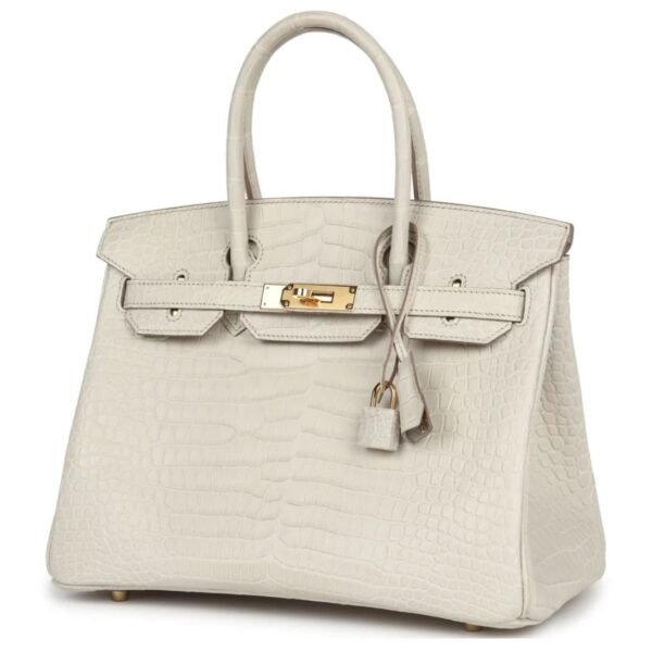 HERMÈS BIRKIN 30 BETON MATTE POROSUS CROCODILE GOLD HARDWARE - Image 3