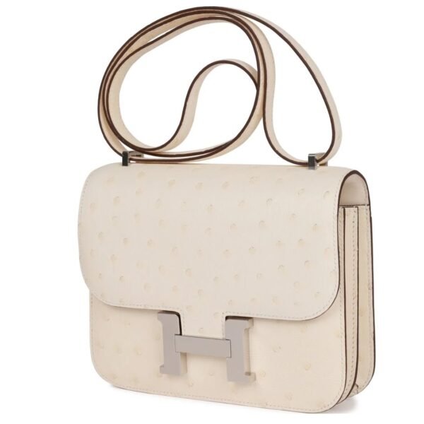 HERMÈS CONSTANCE 18 NATA OSTRICH PALLADIUM HARDWARE - Image 3